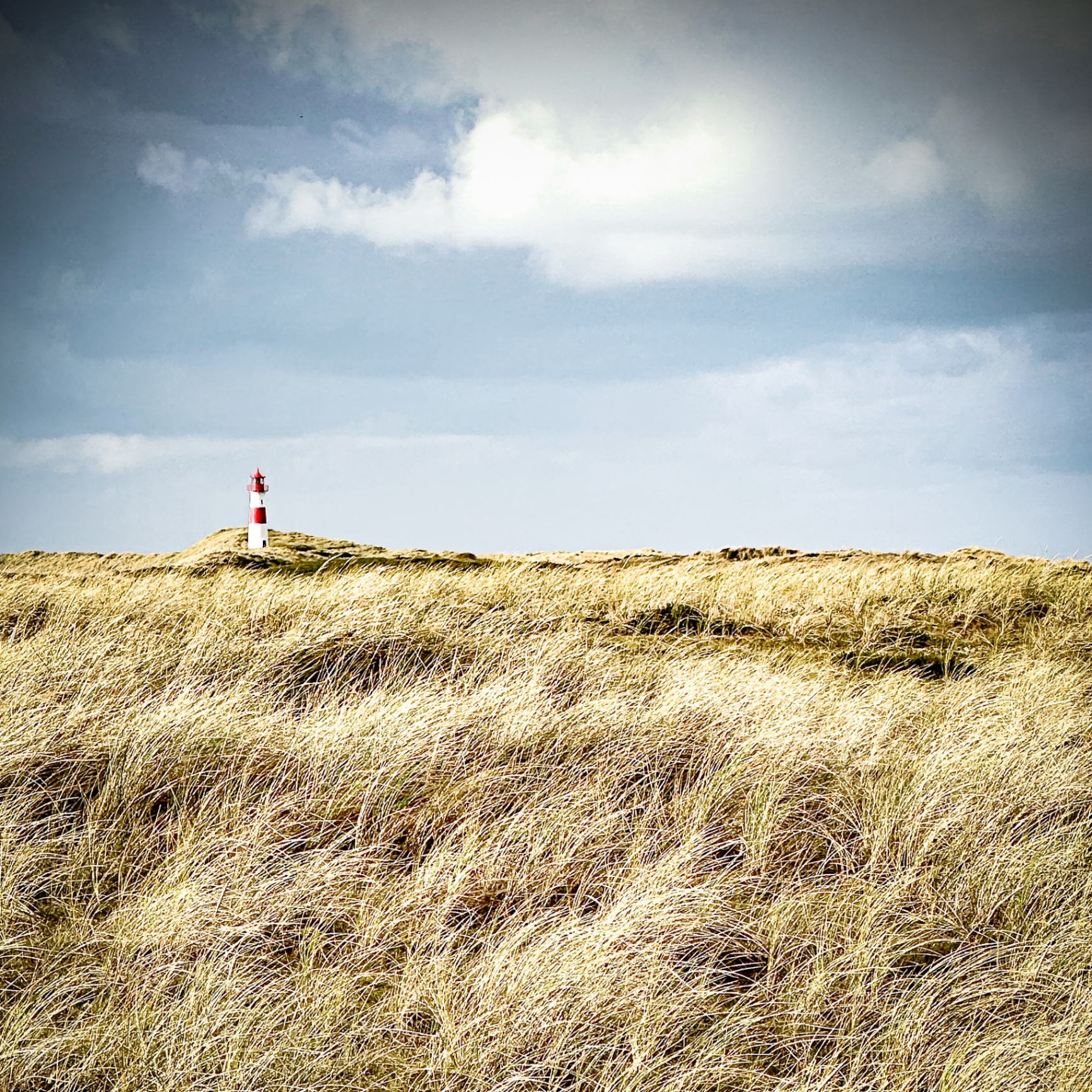 Sylt auf Holz - Leuchtturm in Dünenlandschaft