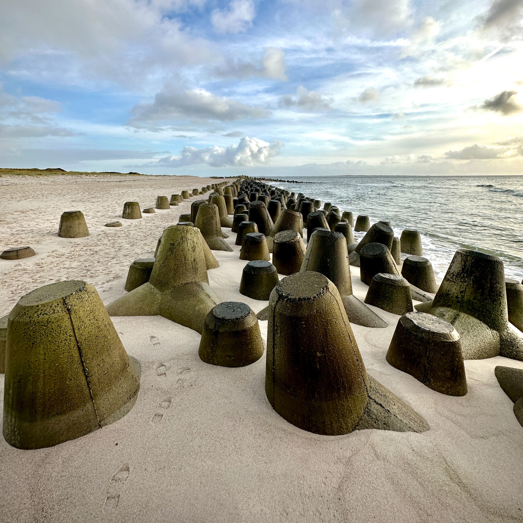 Sylt auf Holz - Tetrapoden am Strand