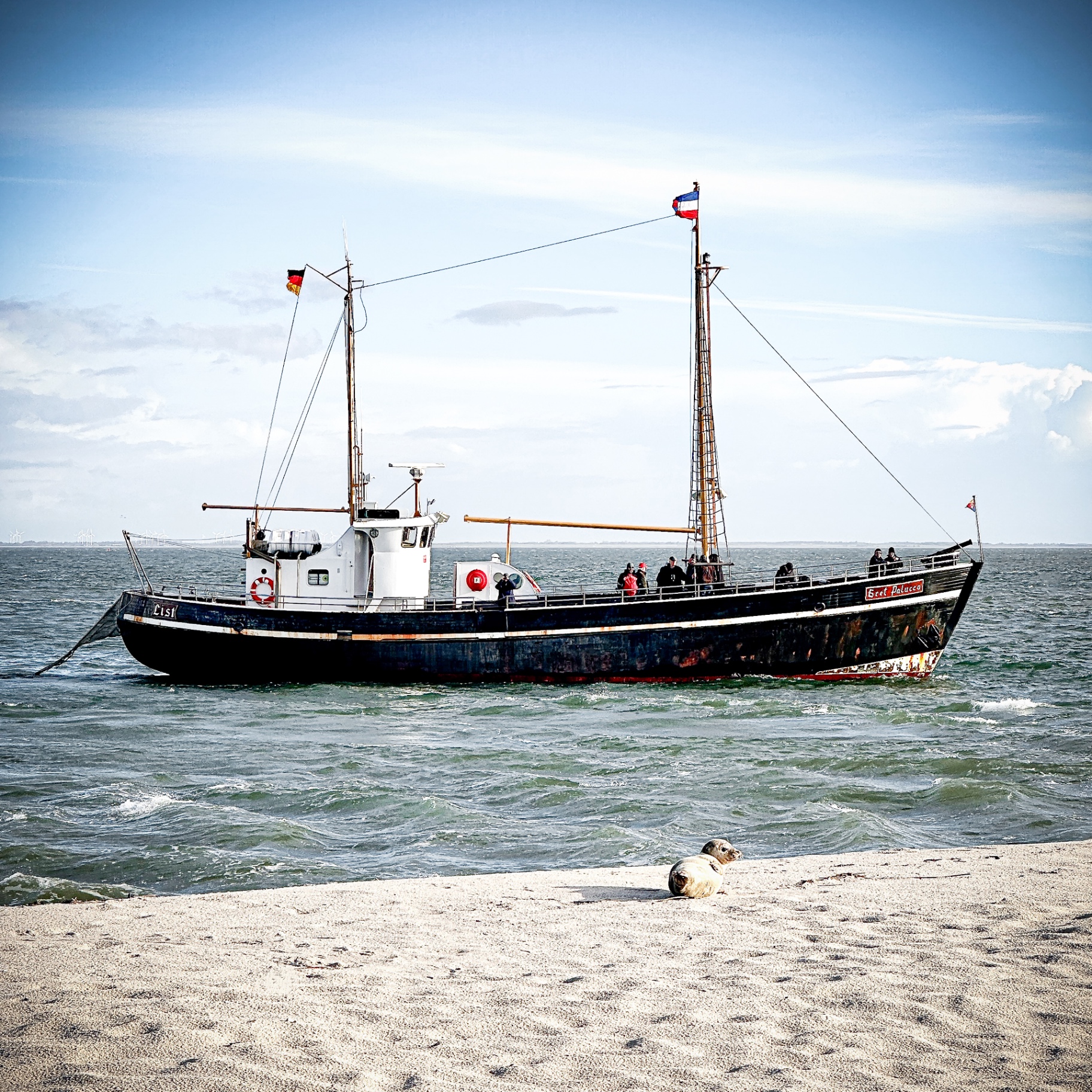 Sylt auf Holz - Kutter mit Robbe