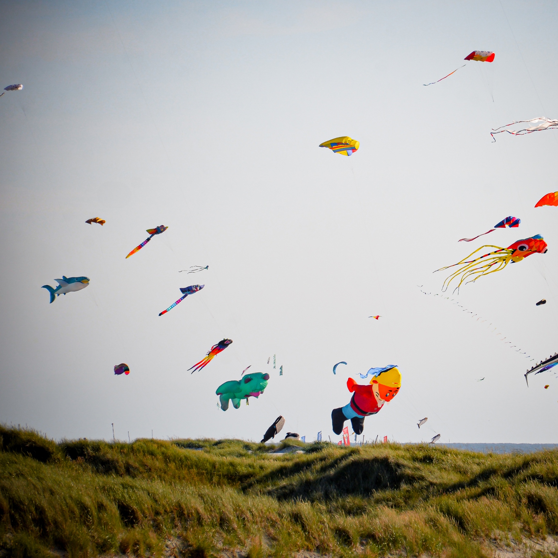 St. Peter-Ording auf Holz - Drachenfest über den Dünen