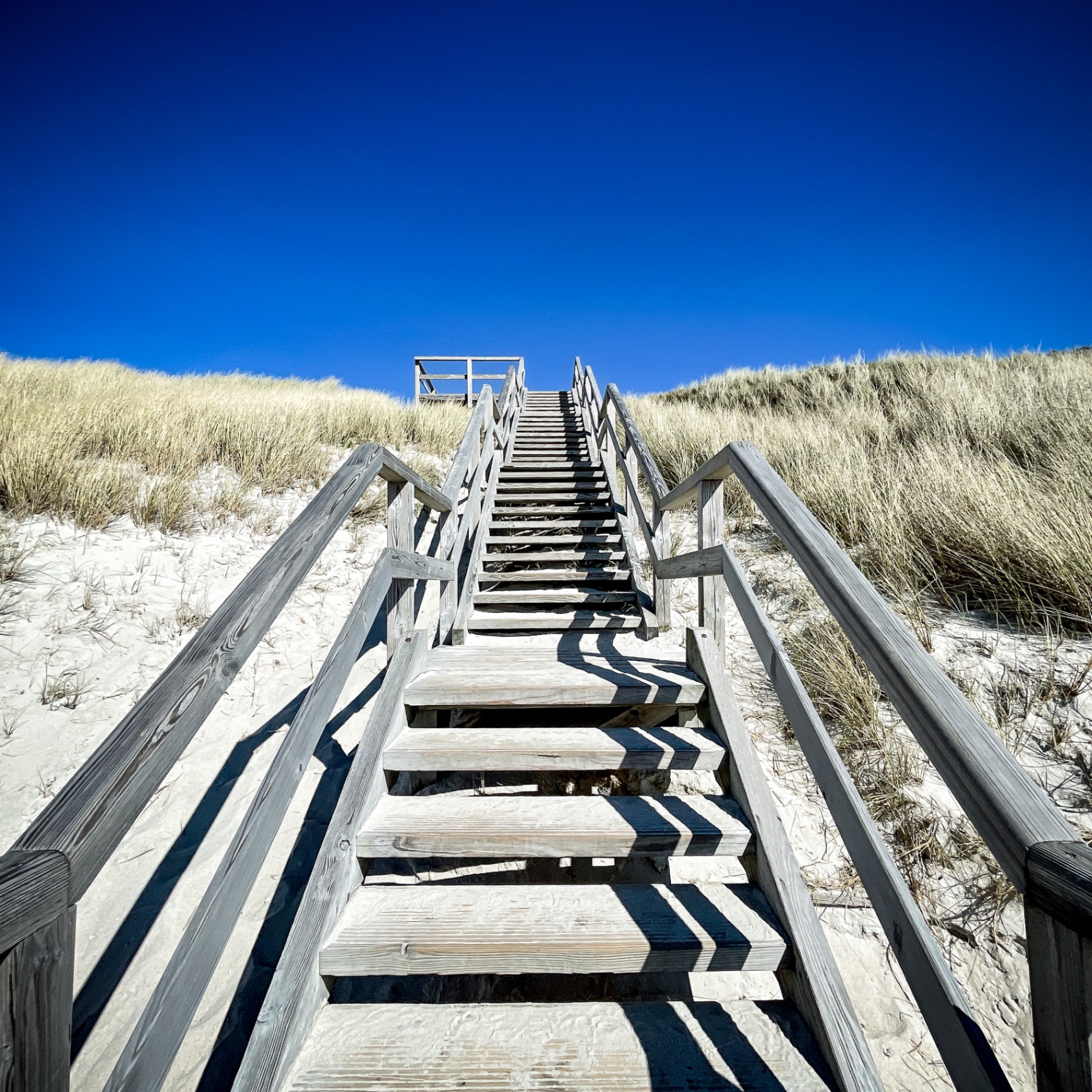 Sylt auf Holz - Dünentreppe