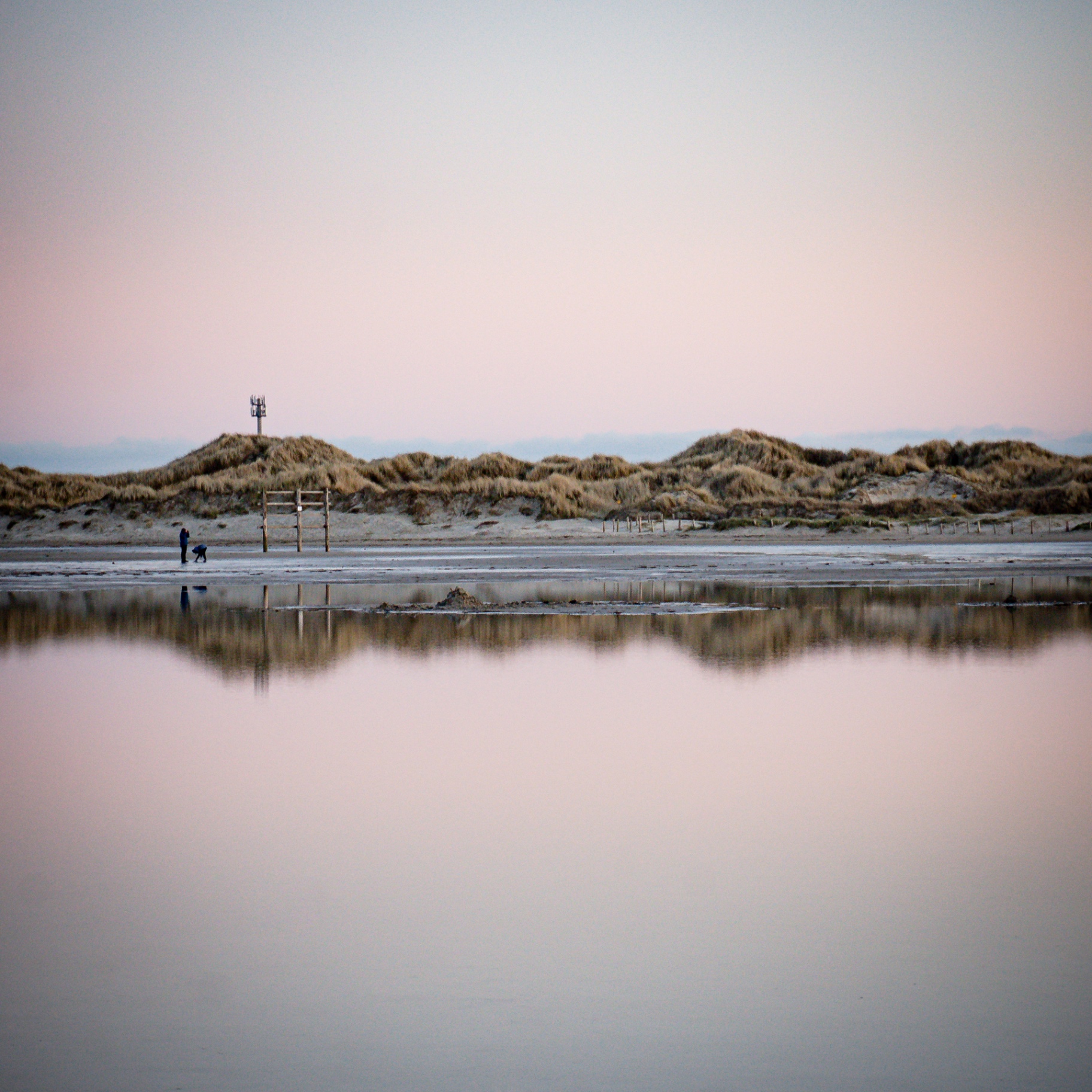 St. Peter-Ording auf Holz - Dünen mit Spiegelung in Rosa
