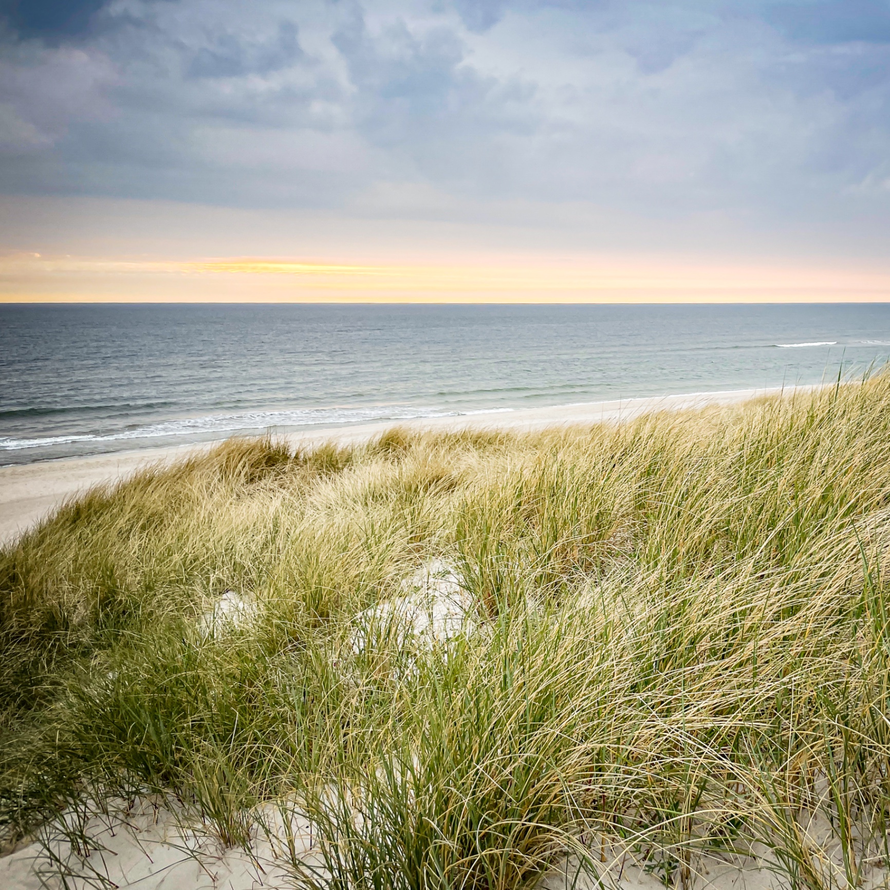 Sylt auf Holz - Düne am Abend