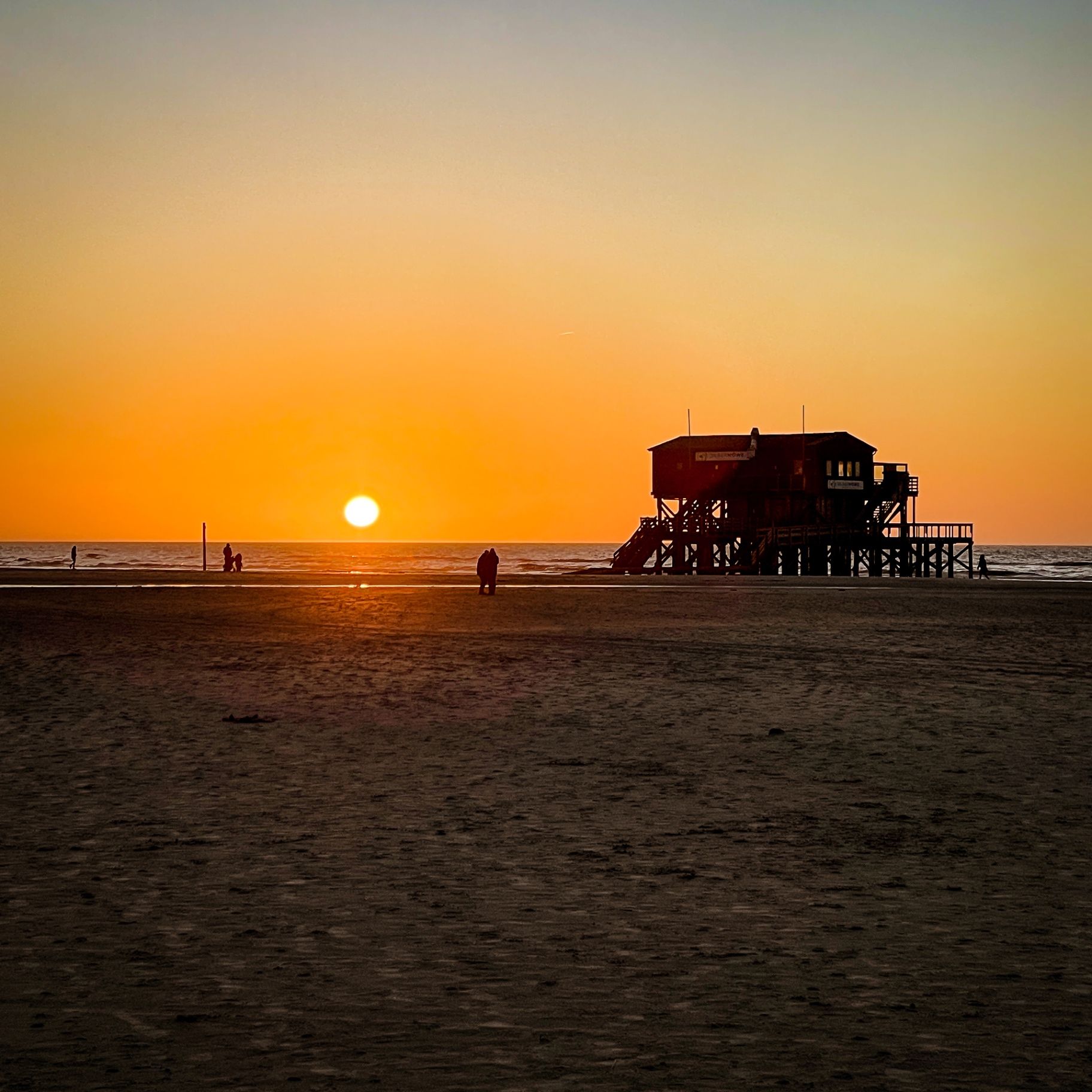 St. Peter-Ording auf Holz - Silbermöwe Pfahlbau im Sonnenuntergang