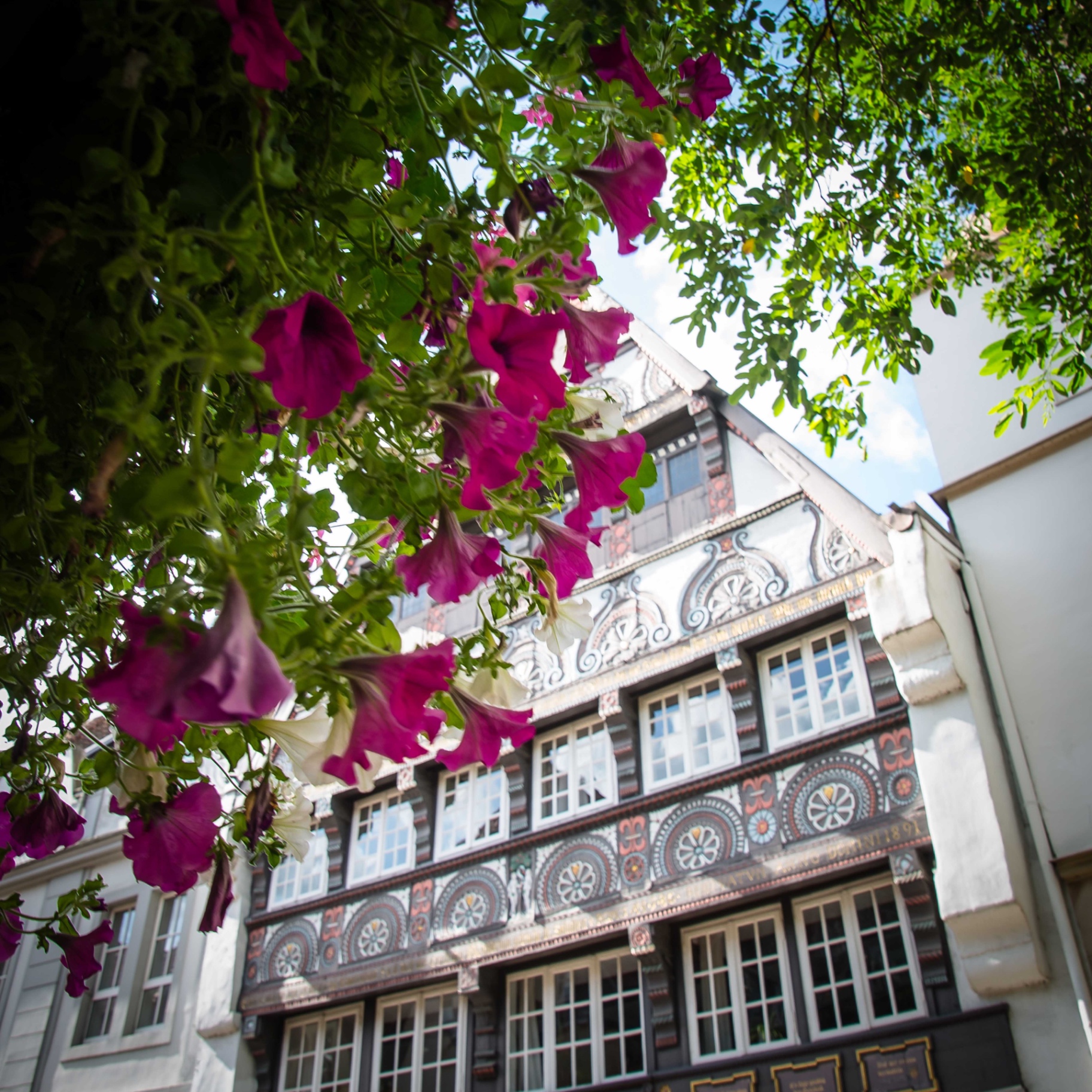 Osnabrück auf Holz - Fachwerk mit Blumen