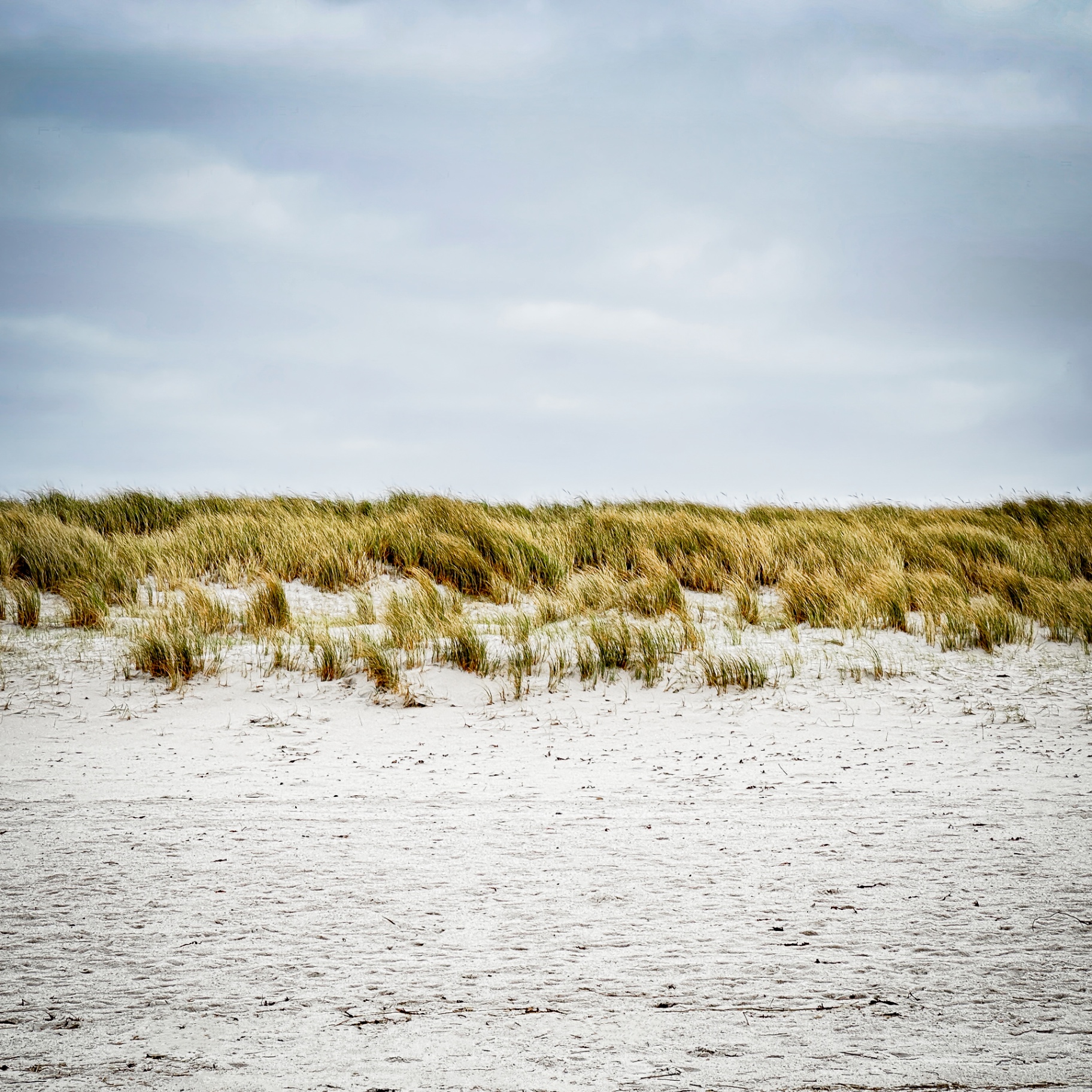 Sylt auf Holz - Dünenlandschaft
