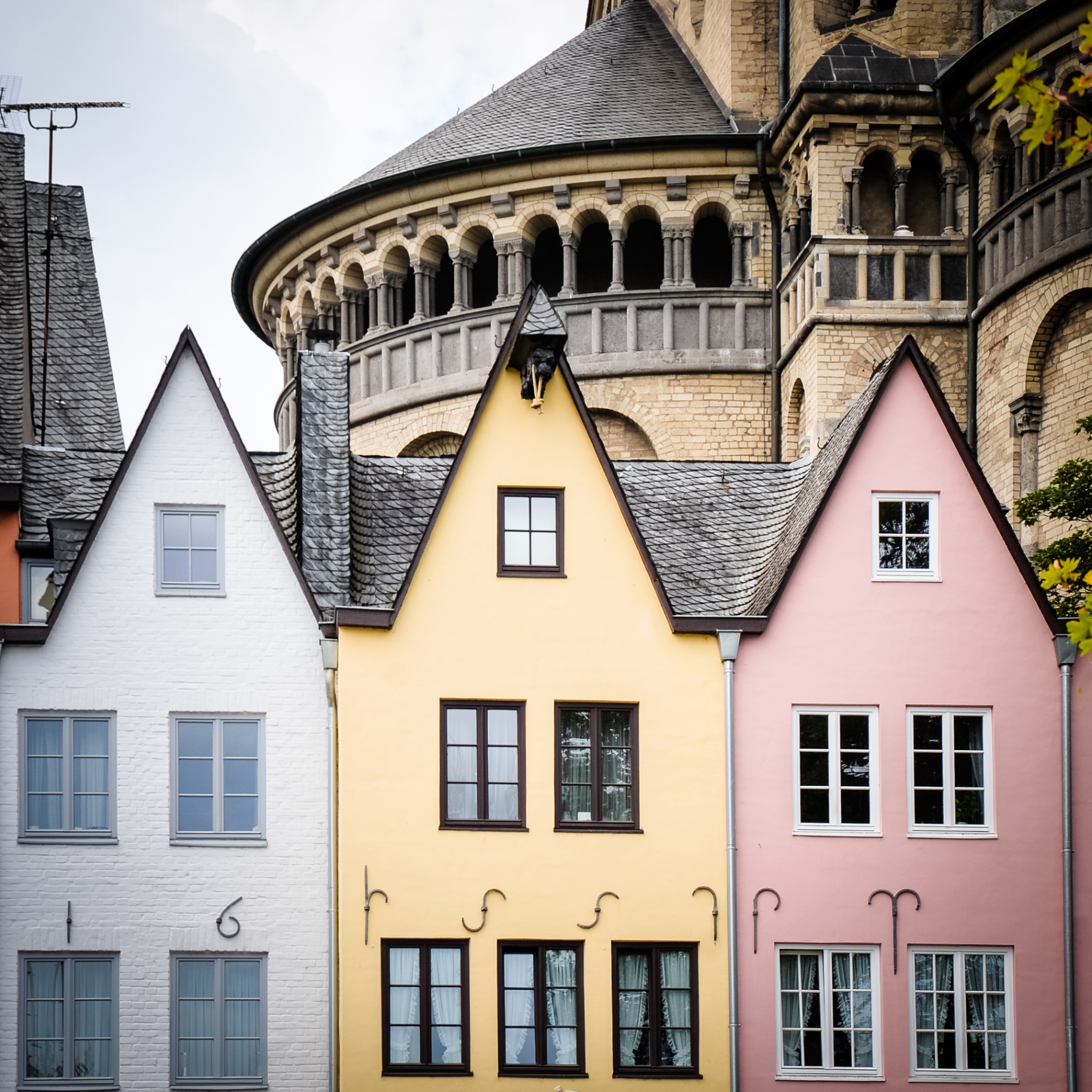 Köln auf Holz - Giebelhäuser & Groß St. Martin