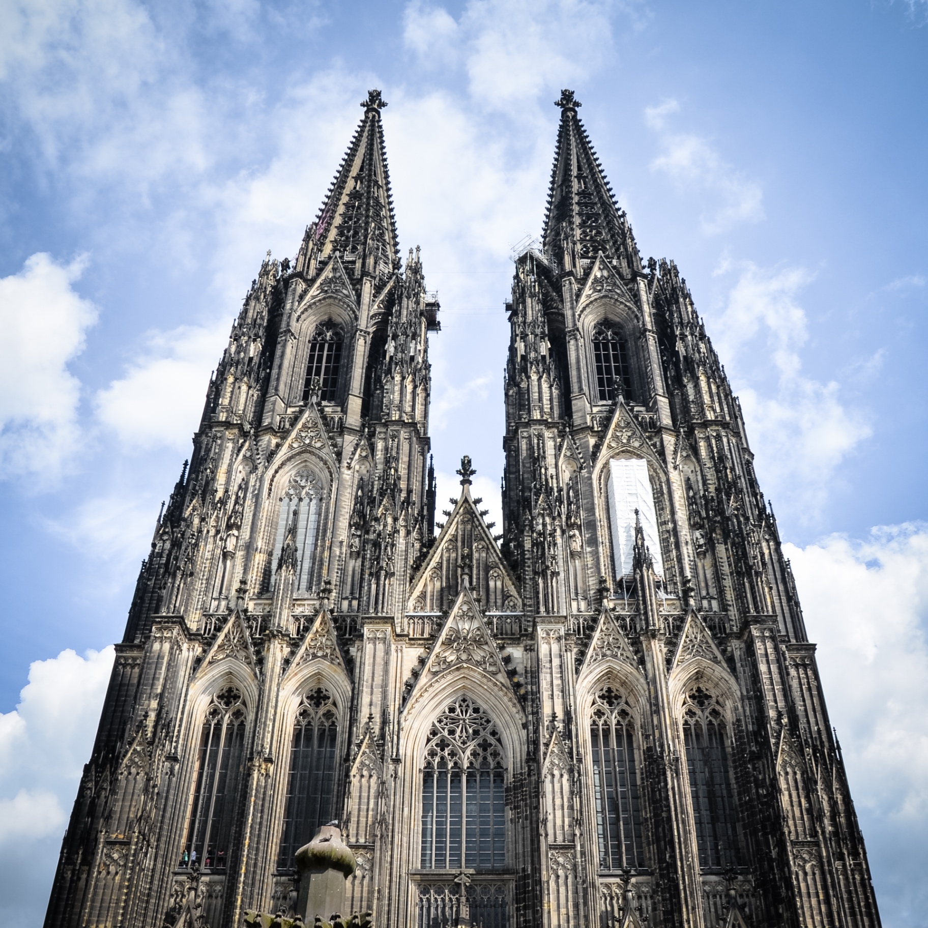 Köln auf Holz - Kölner Dom Frontal