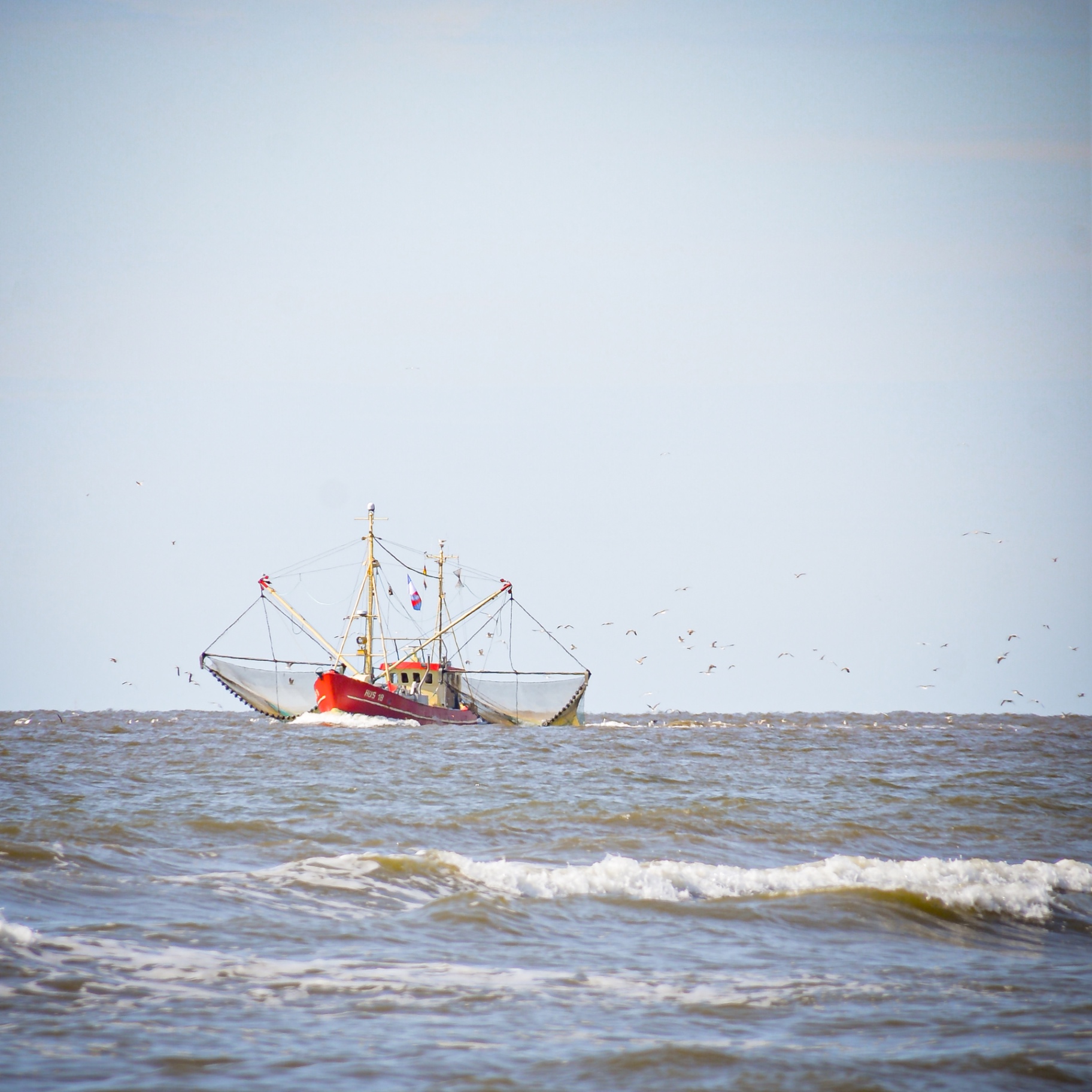 St. Peter-Ording auf Holz - Krabbenkutter mit Möwenschwarm