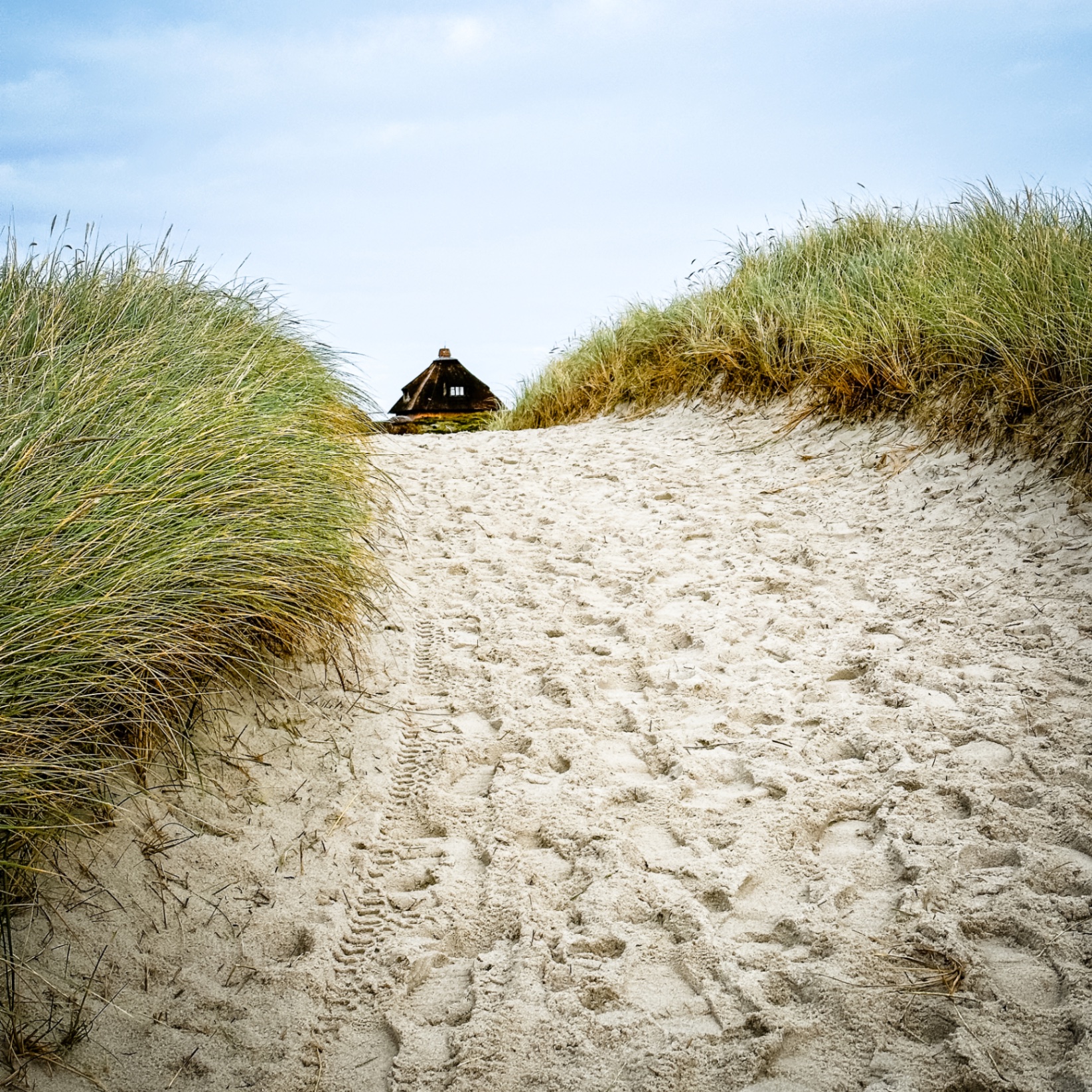 Sylt auf Holz - Dünenweg zum Reetdachhaus