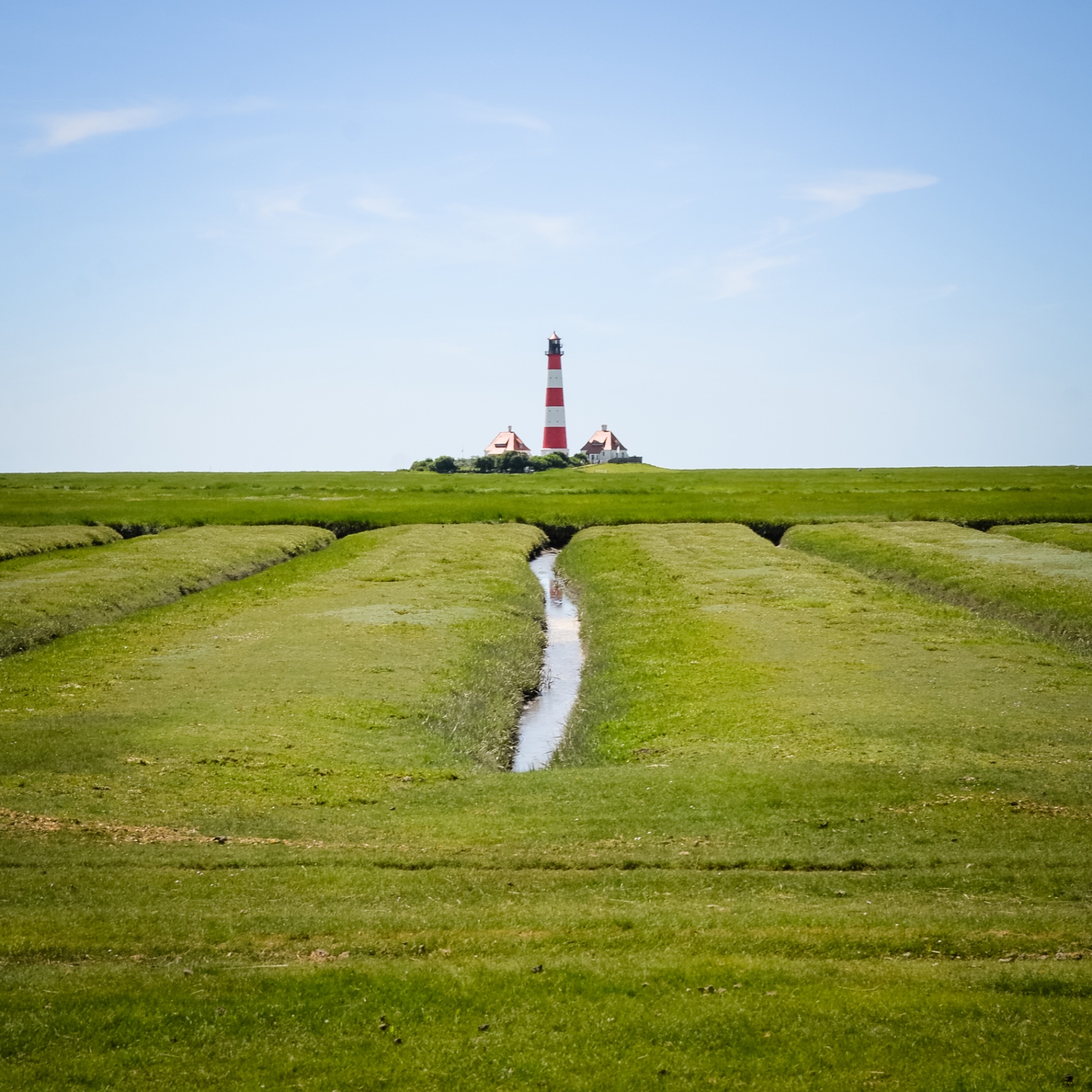 St. Peter-Ording auf Holz - Leuchtturm hinter Salzwiesen-Priel