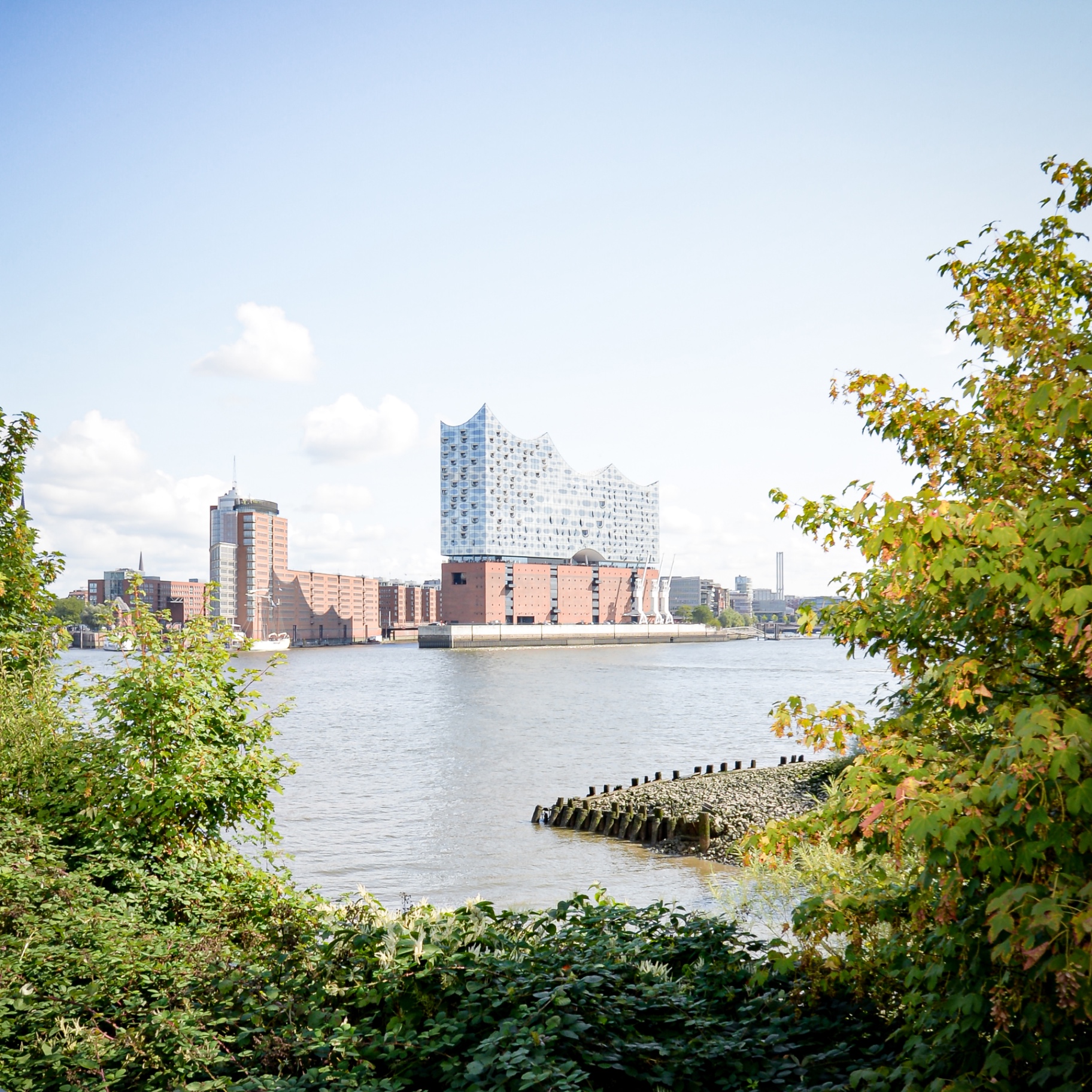 Hamburg auf Holz - Elbphilharmonie Blick