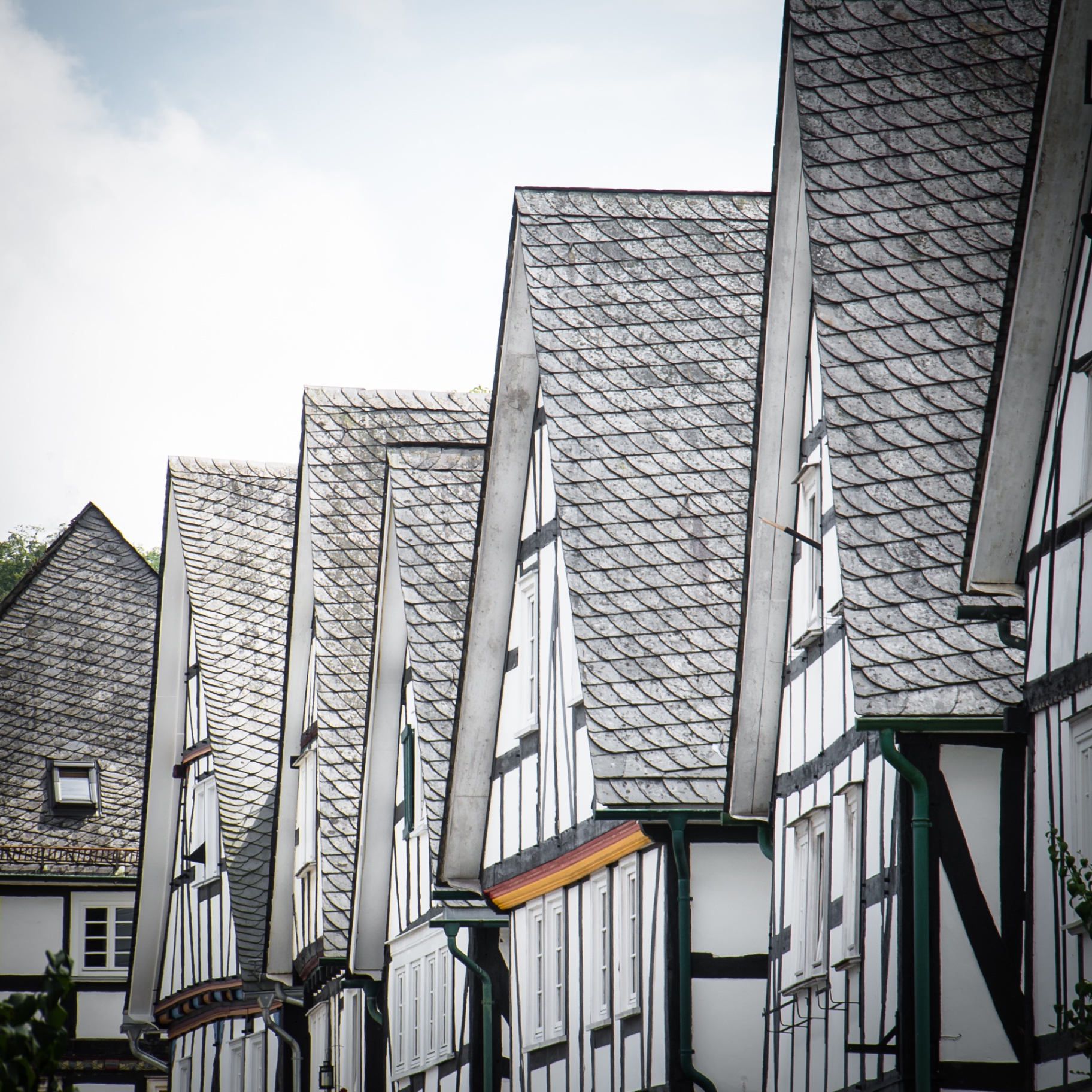 Freudenberg auf Holz - Giebelreihe