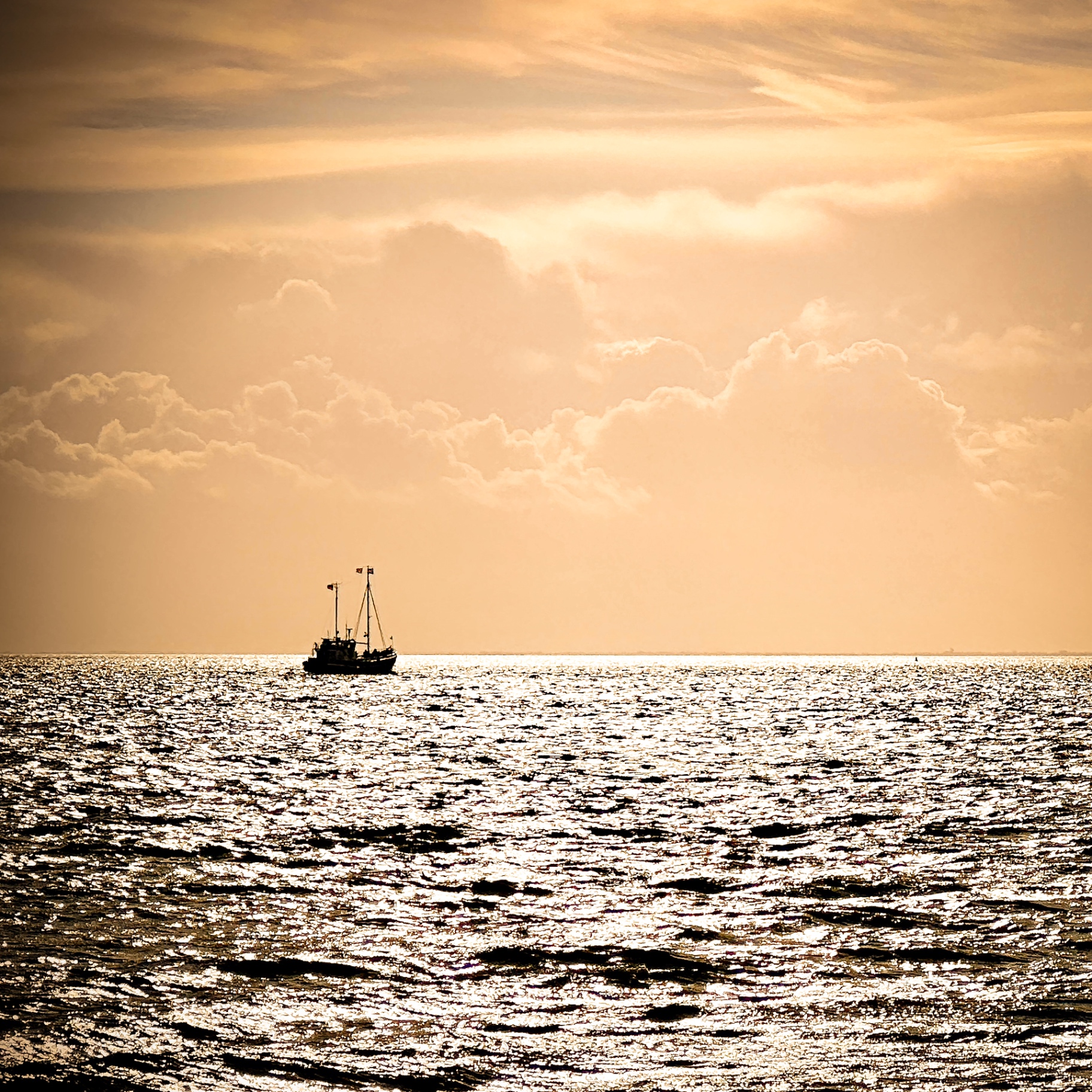 Sylt auf Holz - Kutter im Abendlicht