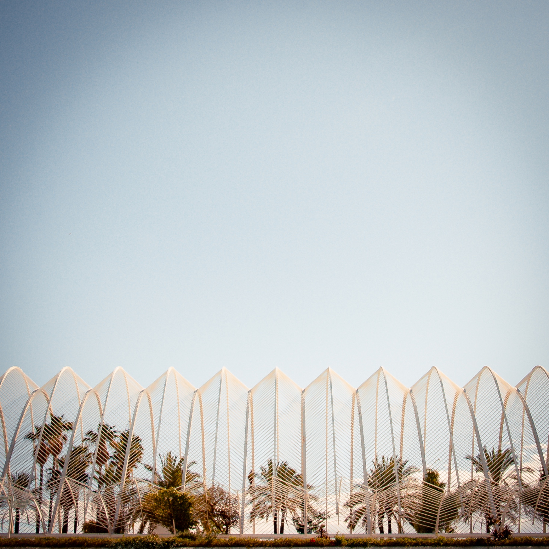Valencia auf Holz - L'Umbracle