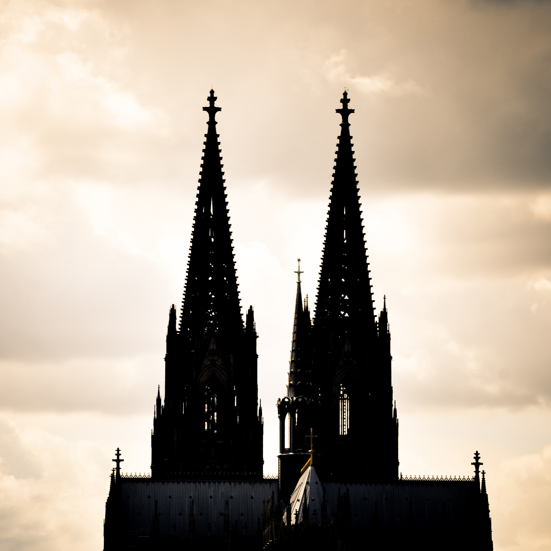 Köln auf Holz - Dom Silhouette Sonnenuntergang