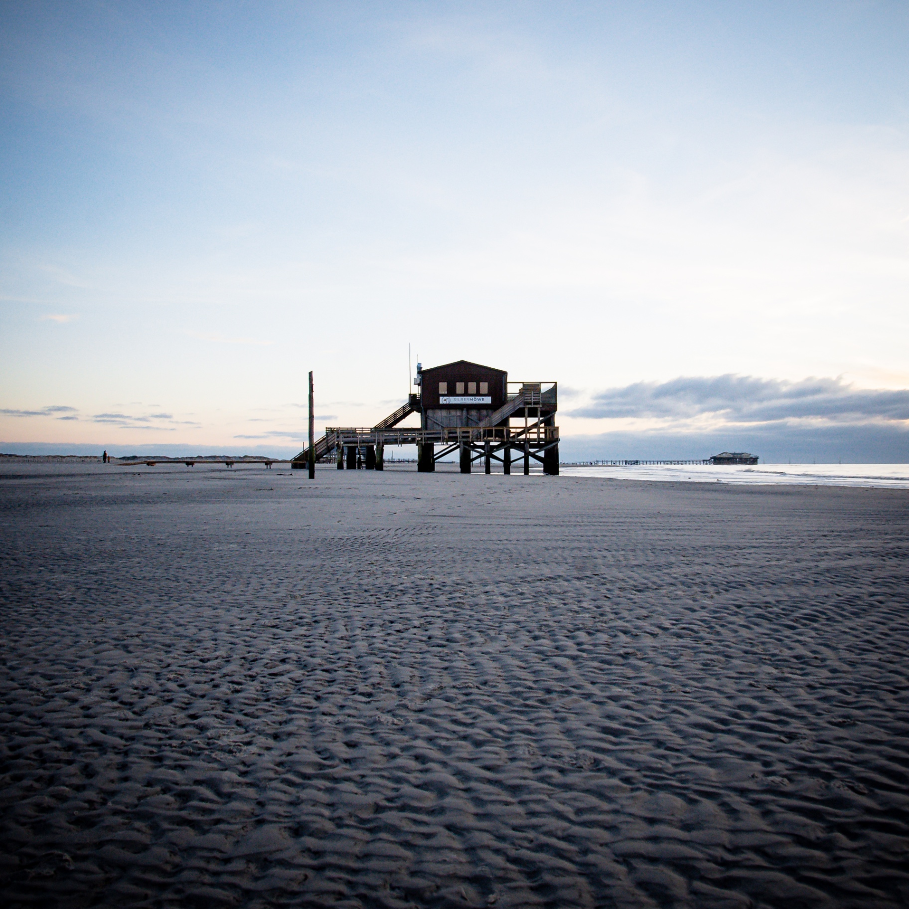 St. Peter-Ording auf Holz - Silbermöwe am weiten Strand