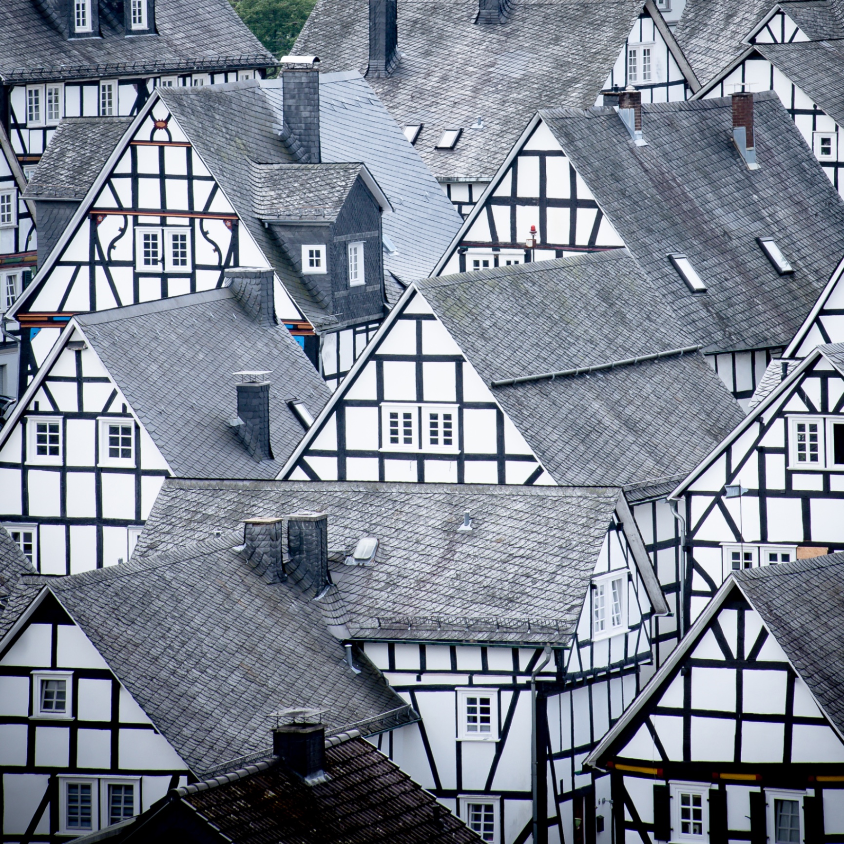 Freudenberg auf Holz - Fachwerkdächer