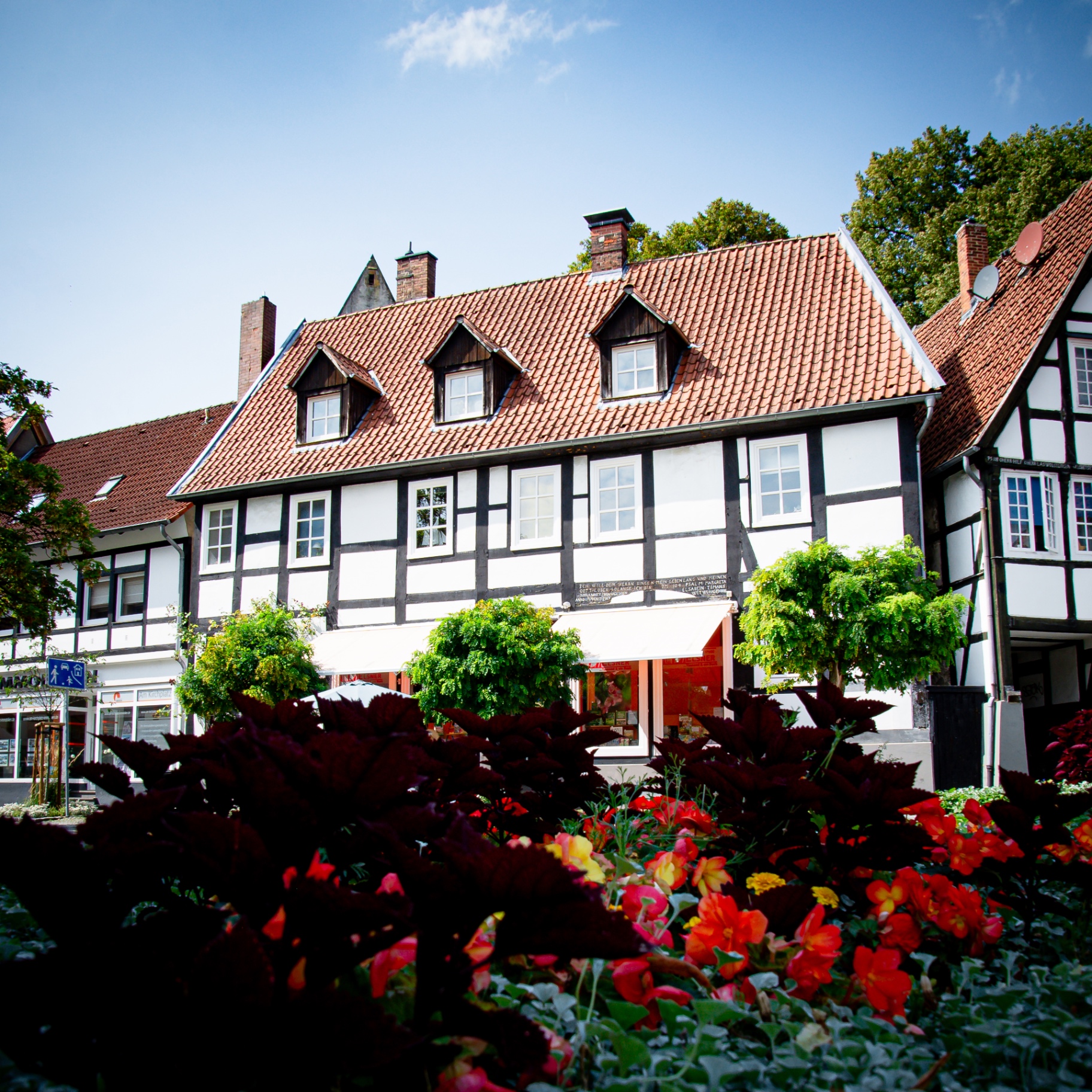 Halle(W)