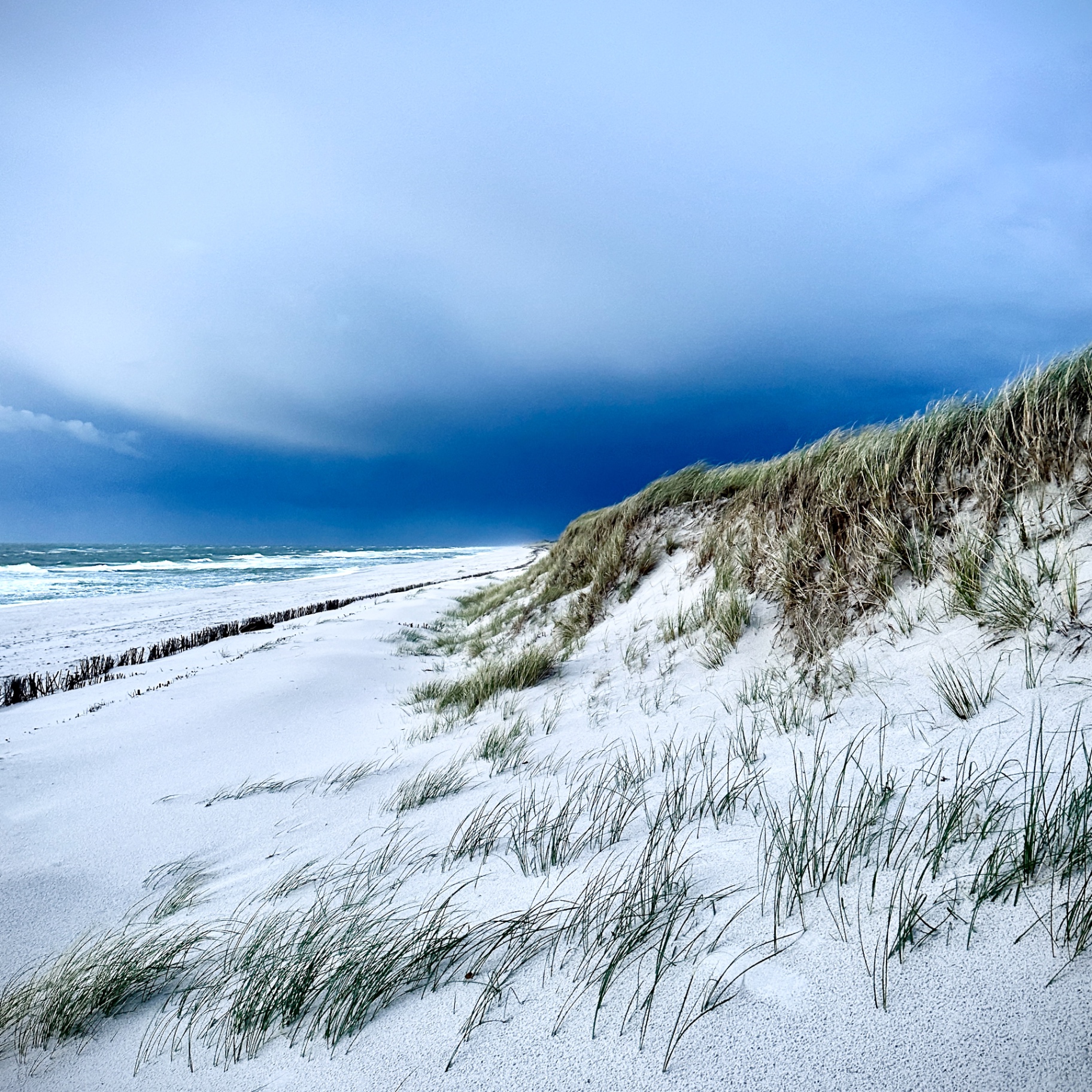 Sylt auf Holz - Dünen im Sturm