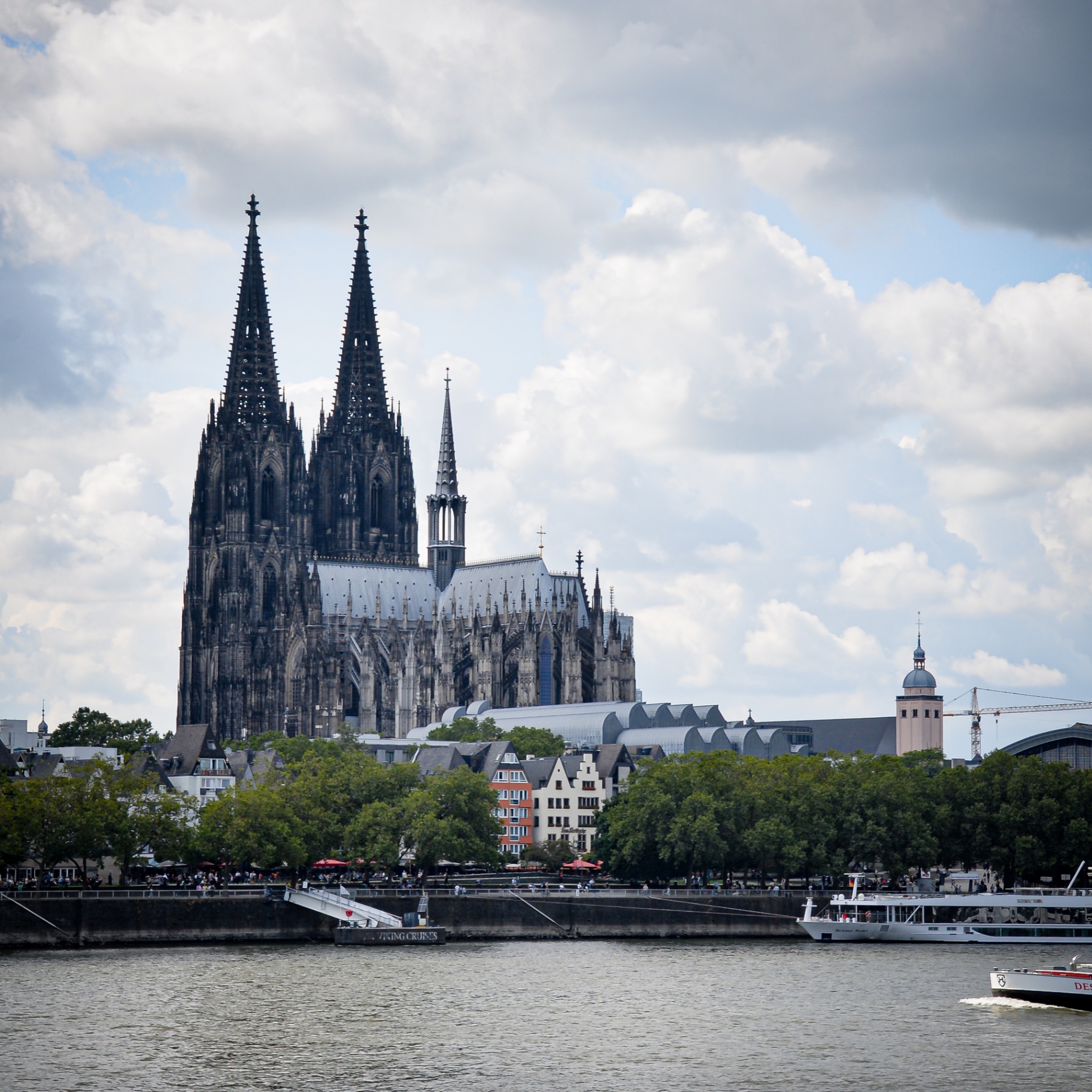 Köln auf Holz - Dom am Rhein