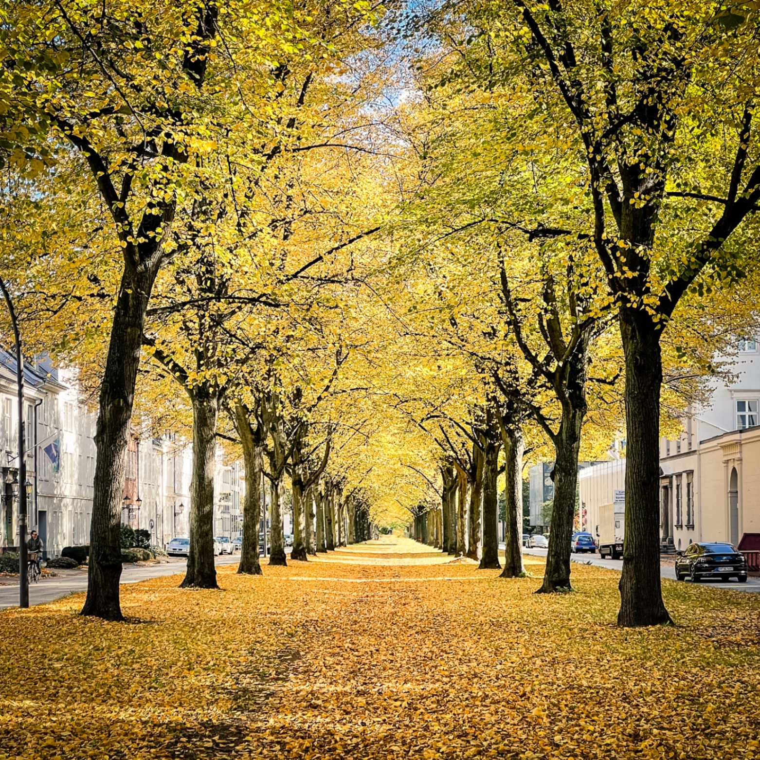 Hamburg auf Holz - Herbstallee
