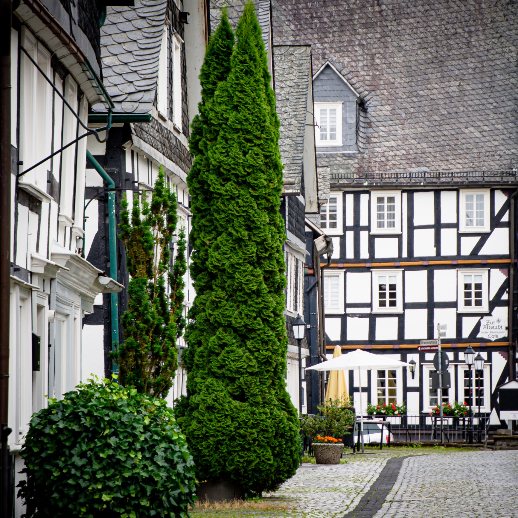 Freudenberg auf Holz - Altstadtgasse