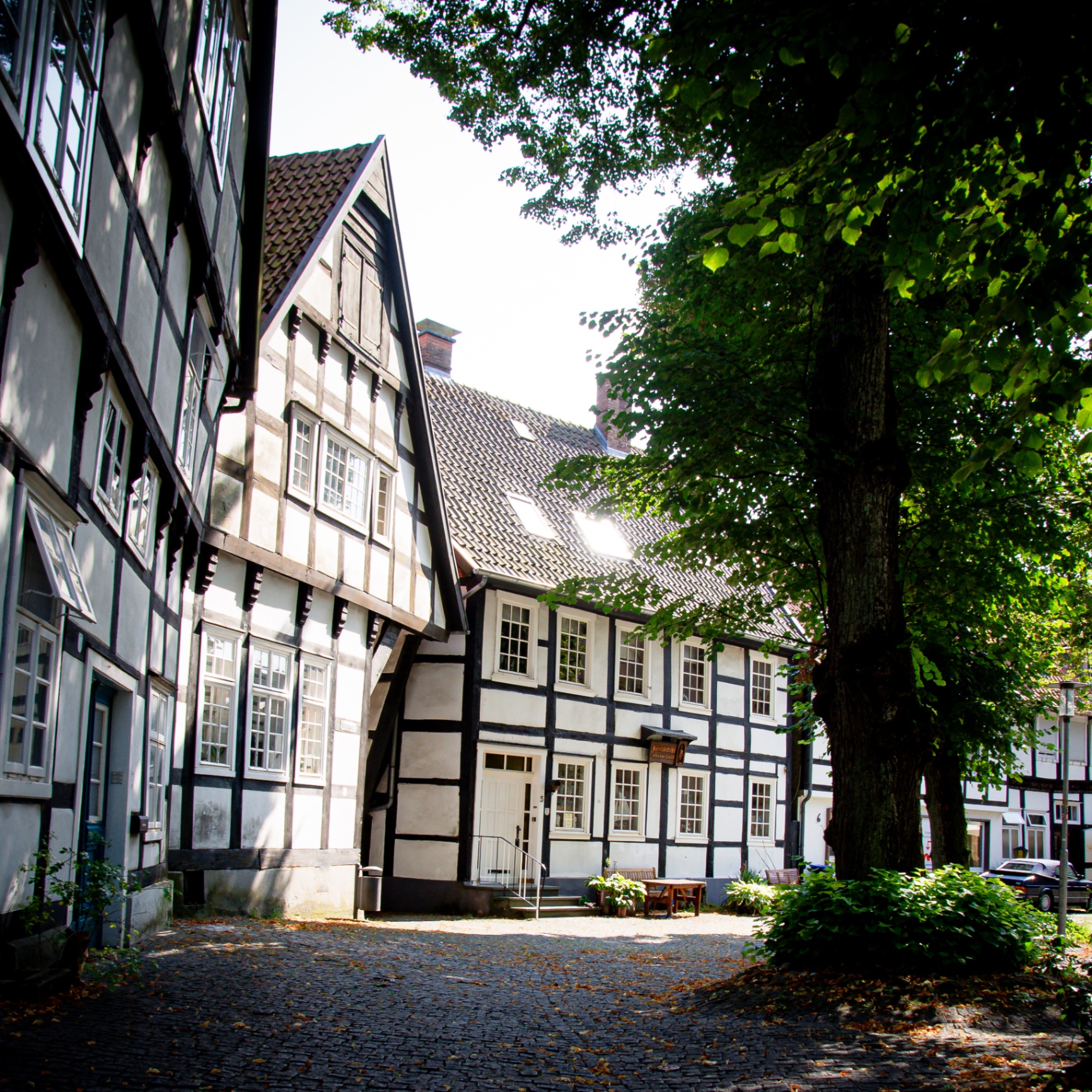 Halle(W) auf Holz - Fachwerkgasse