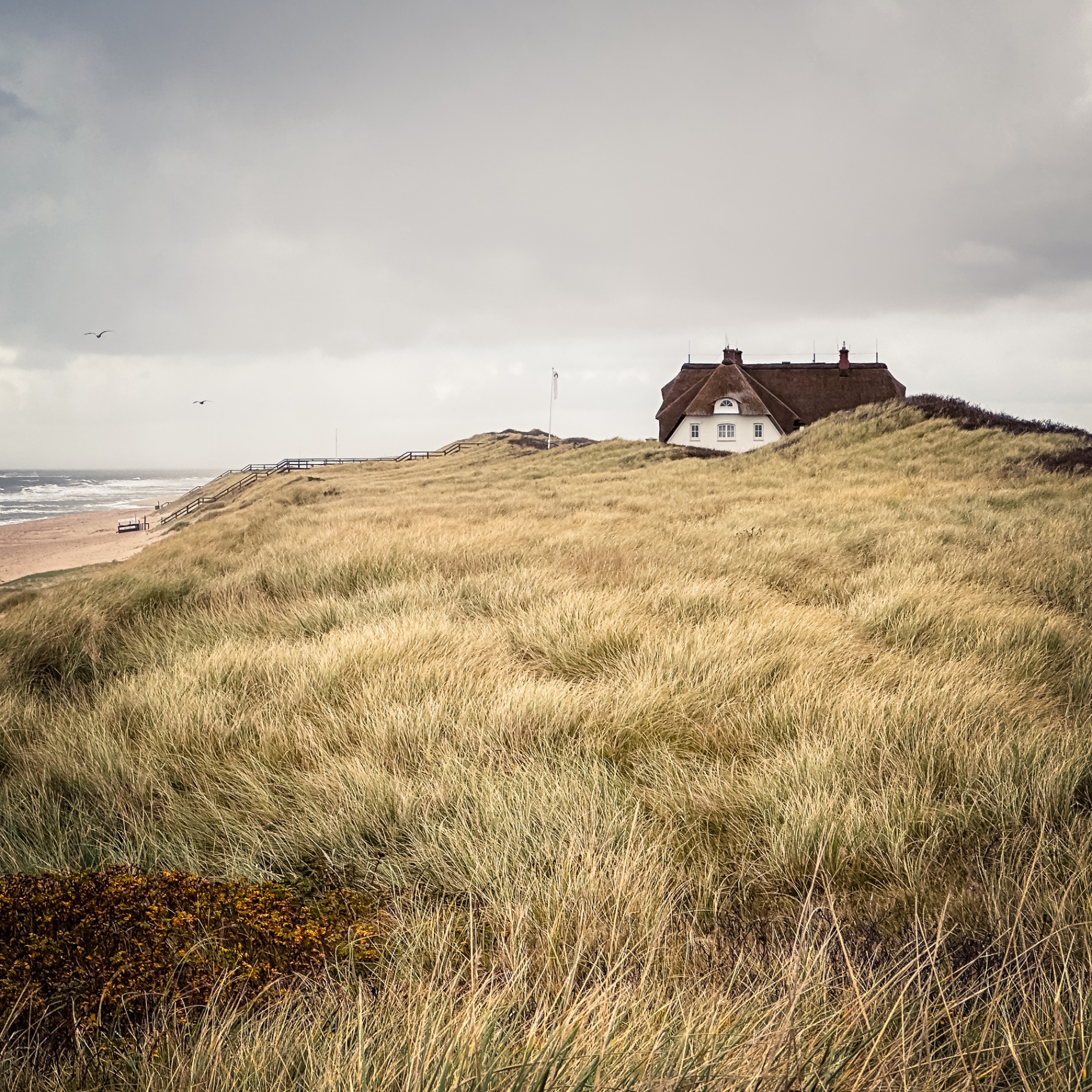 Sylt auf Holz - Reetdachhaus in den Dünen