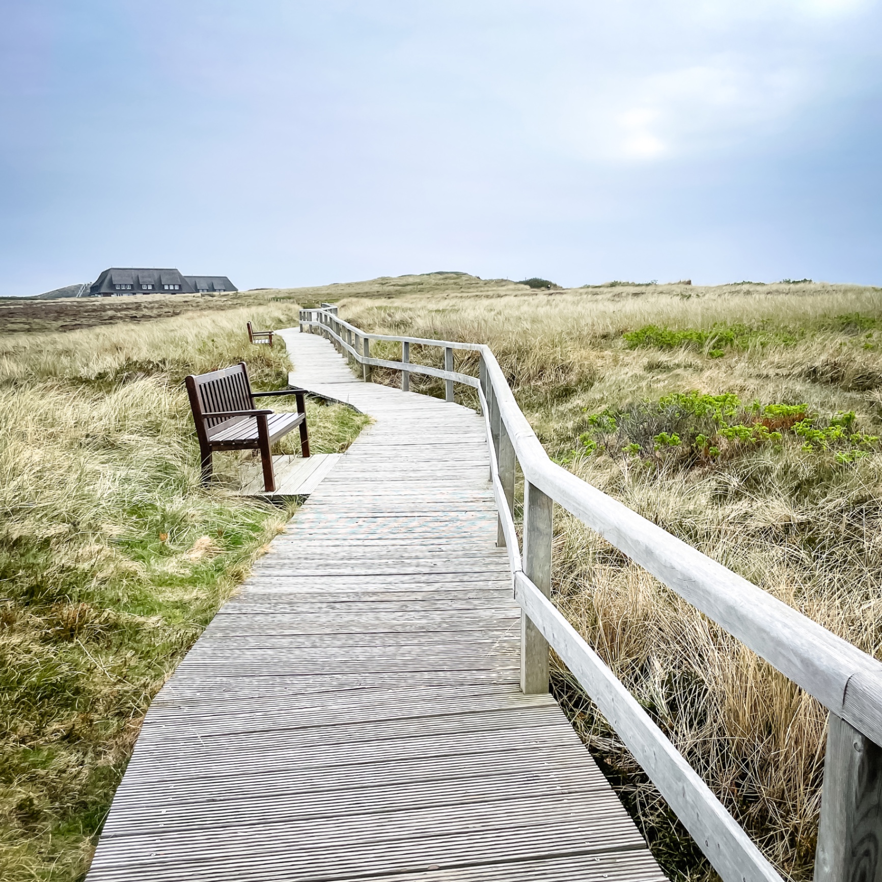 Sylt auf Holz - Bohlenweg mit Bank