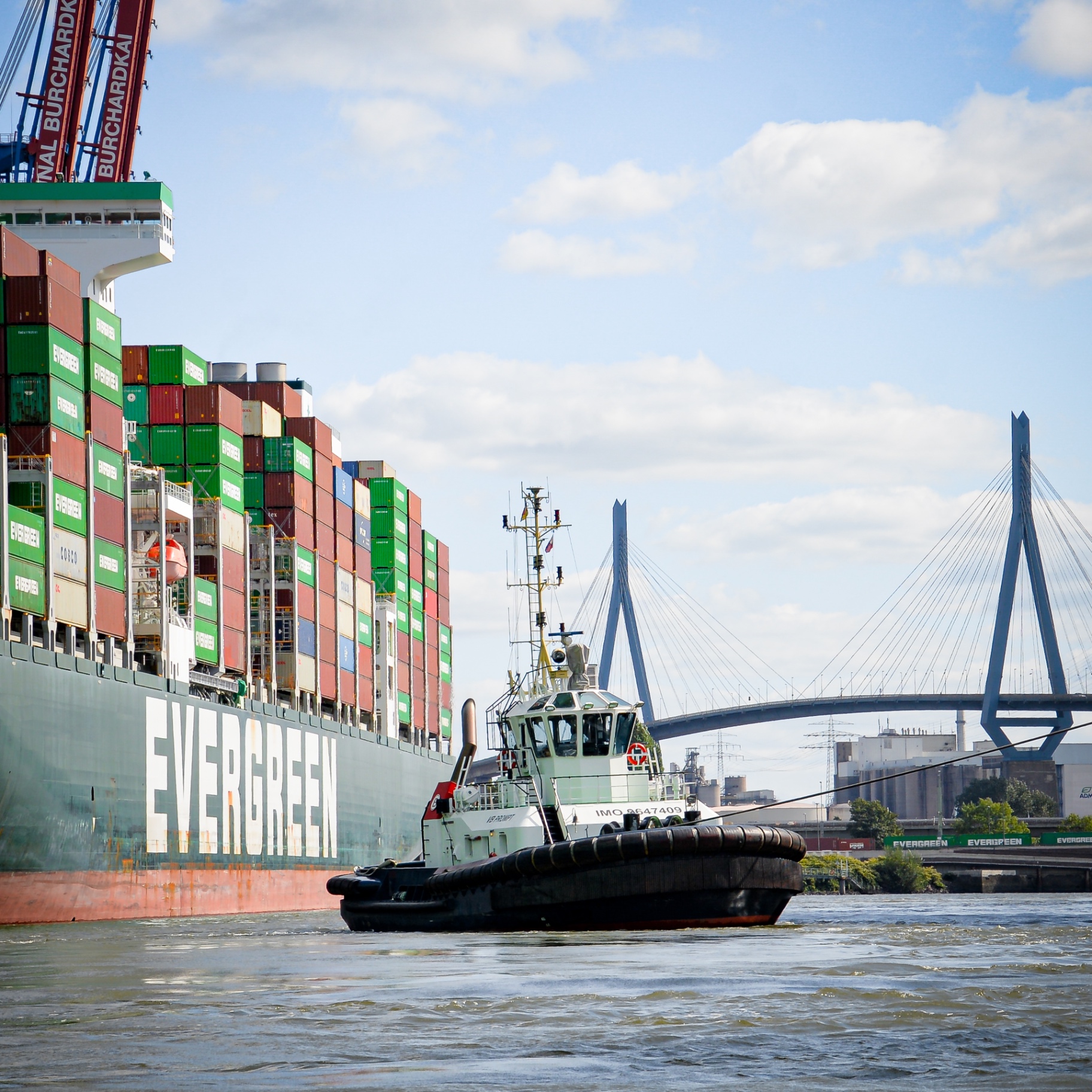 Hamburg auf Holz - Evergreen & Köhlbrandbrücke
