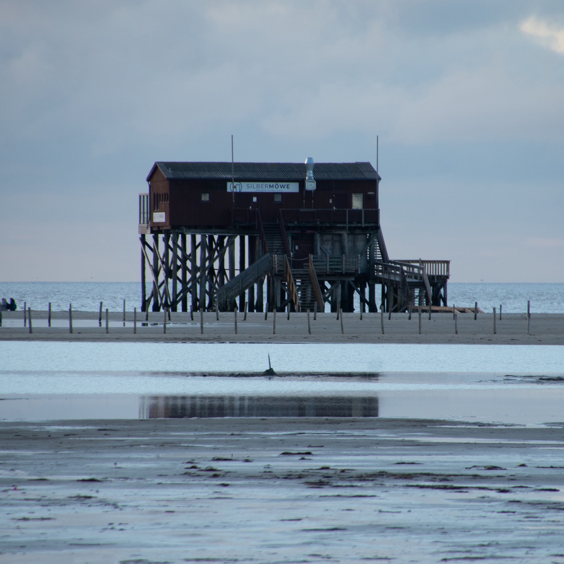St. Peter-Ording auf Holz - Silbermöwe Pfahlbau